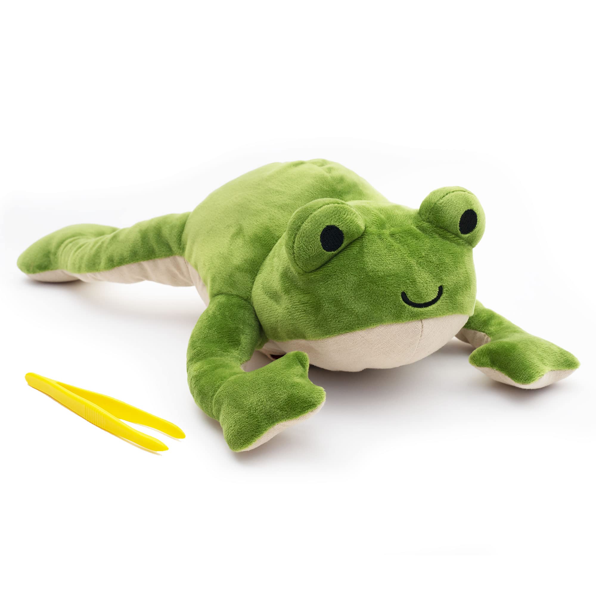 Amazon.com: KiwiCo Froggie Lab Dissection Plush Toy - Anatomy