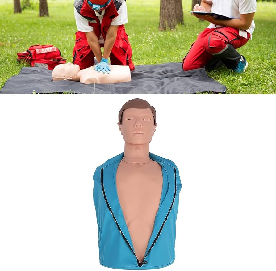 Amazon.co.jp: 成人用CPRマネキン、医療モデル心肺蘇生シミュレーター