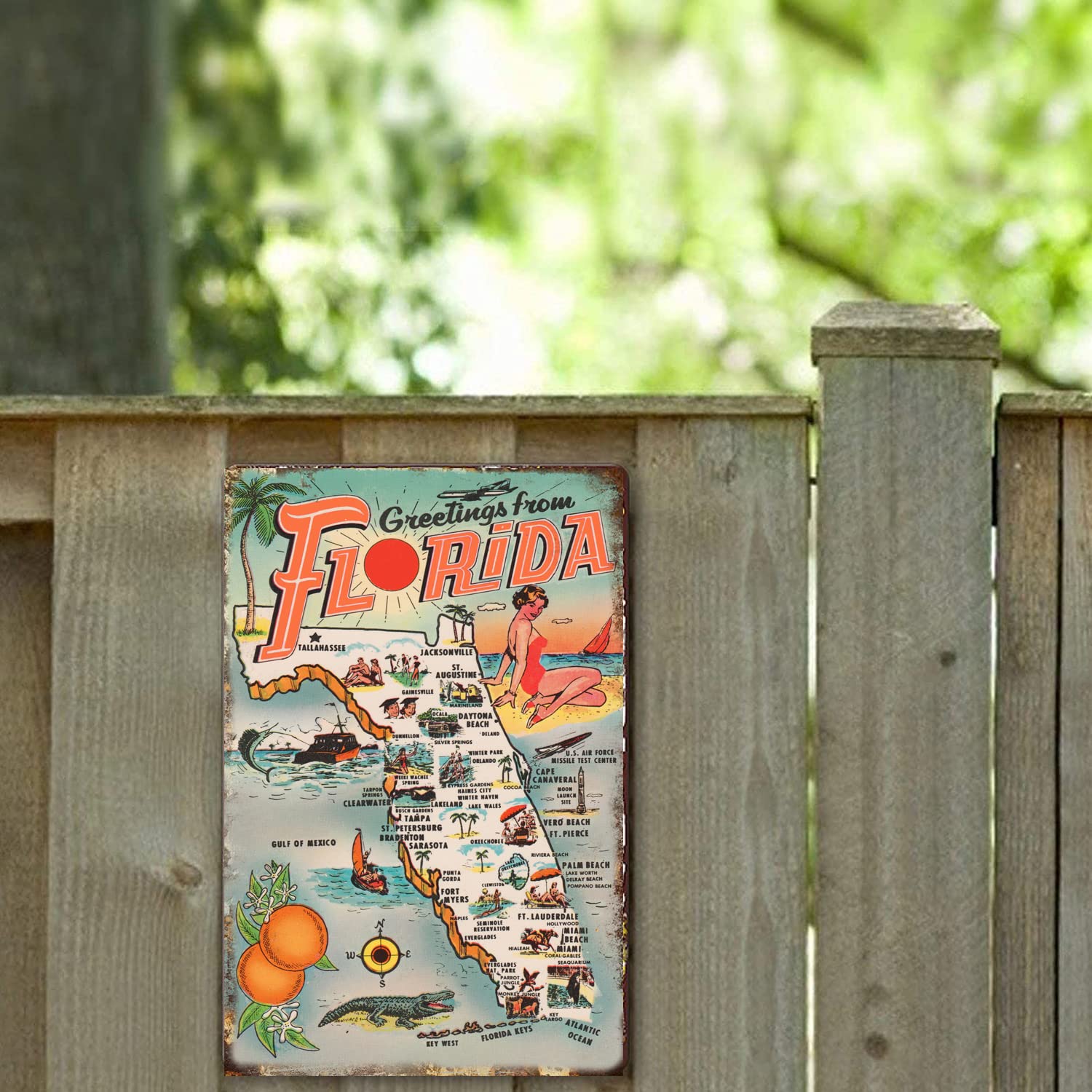 Amazon.com: Cusde Vintage 1954 Greetings from Florida Collectible