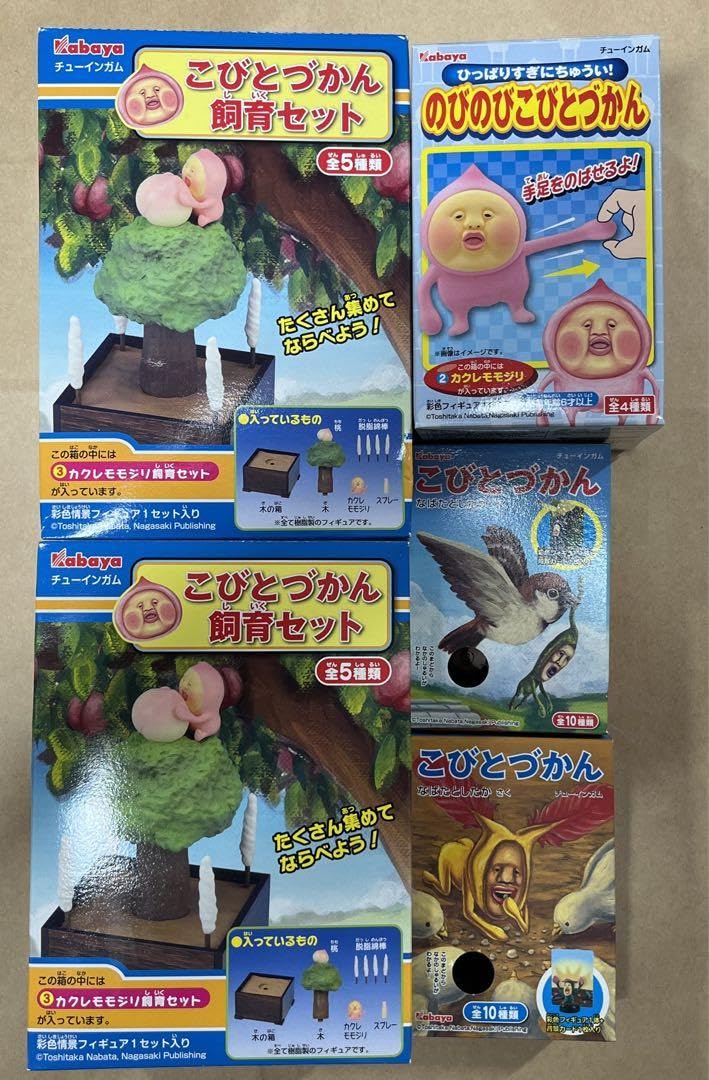 Amazon.co.jp: こびとづかん 飼育セット kabaya カクレモモジリ こびと