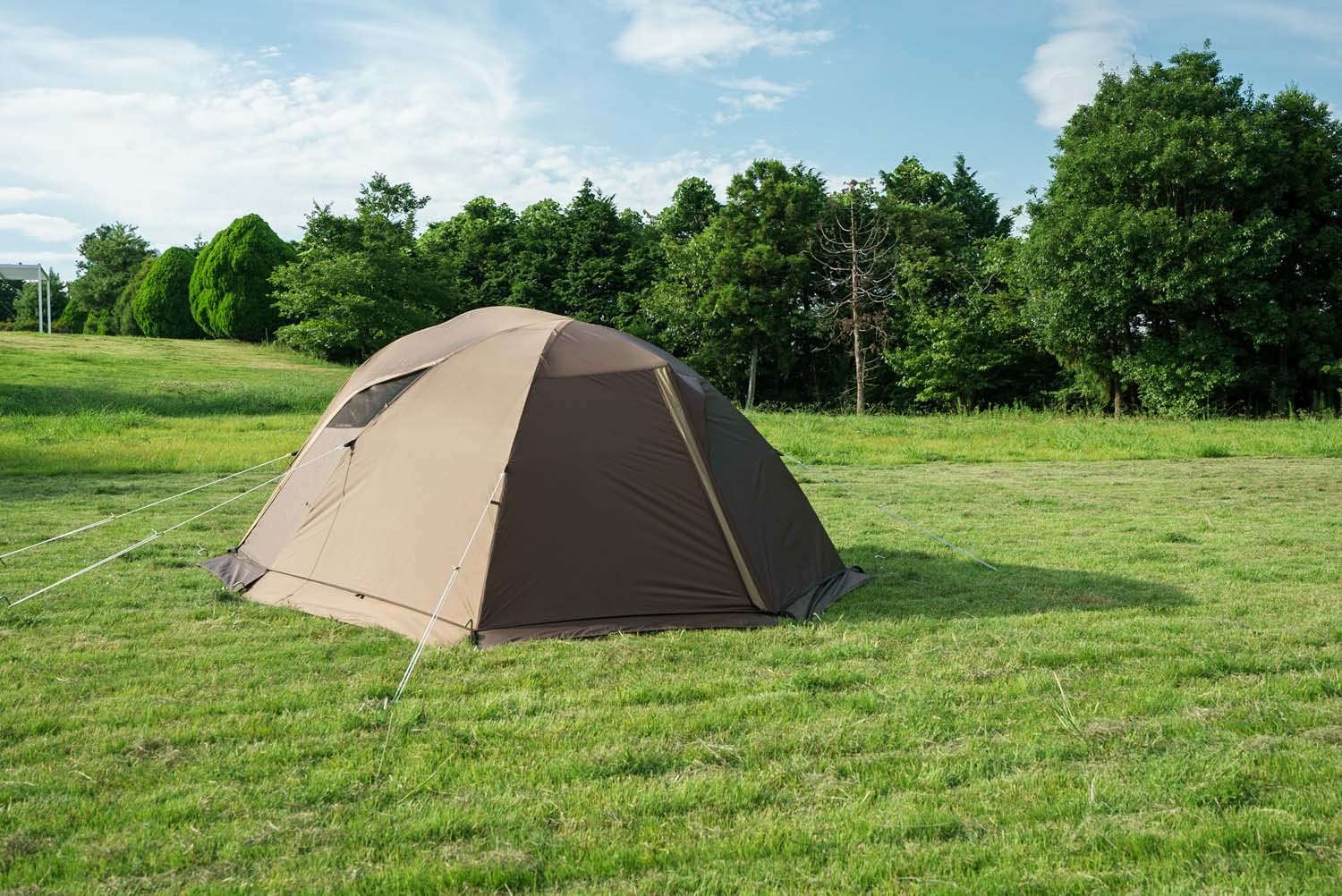 Amazon | ogawa(オガワ) アウトドア キャンプ テント ステイシー