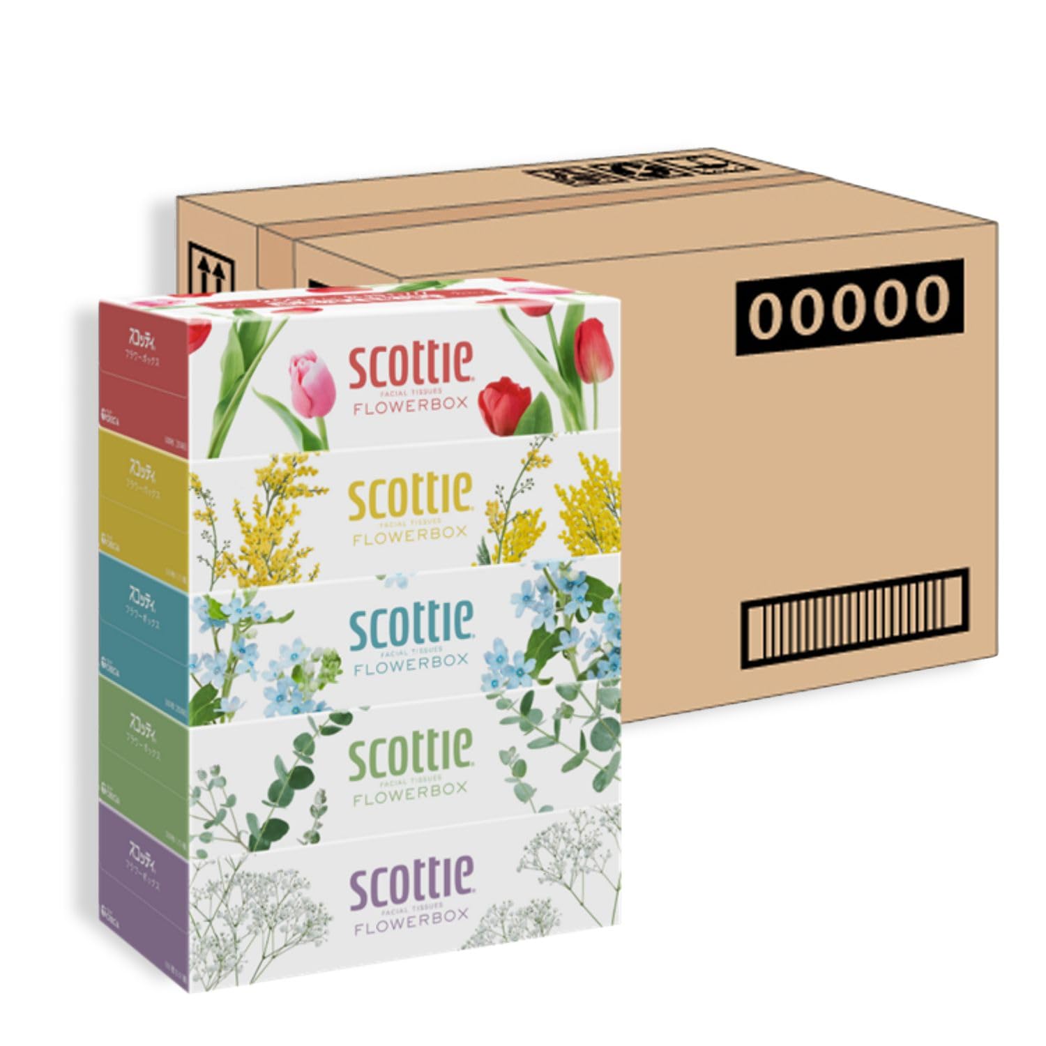 Amazon.co.jp: ティッシュ 長持ち 500枚(250組) 60箱 スコッティ