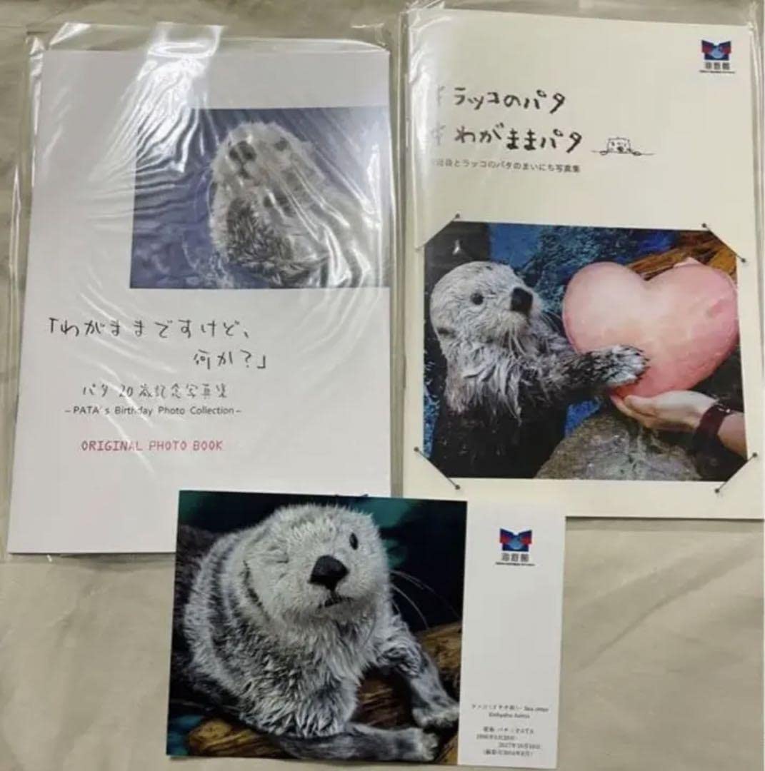 Amazon.co.jp: 海遊館 ラッコのパタ 写真集&ポストカードセット : おもちゃ