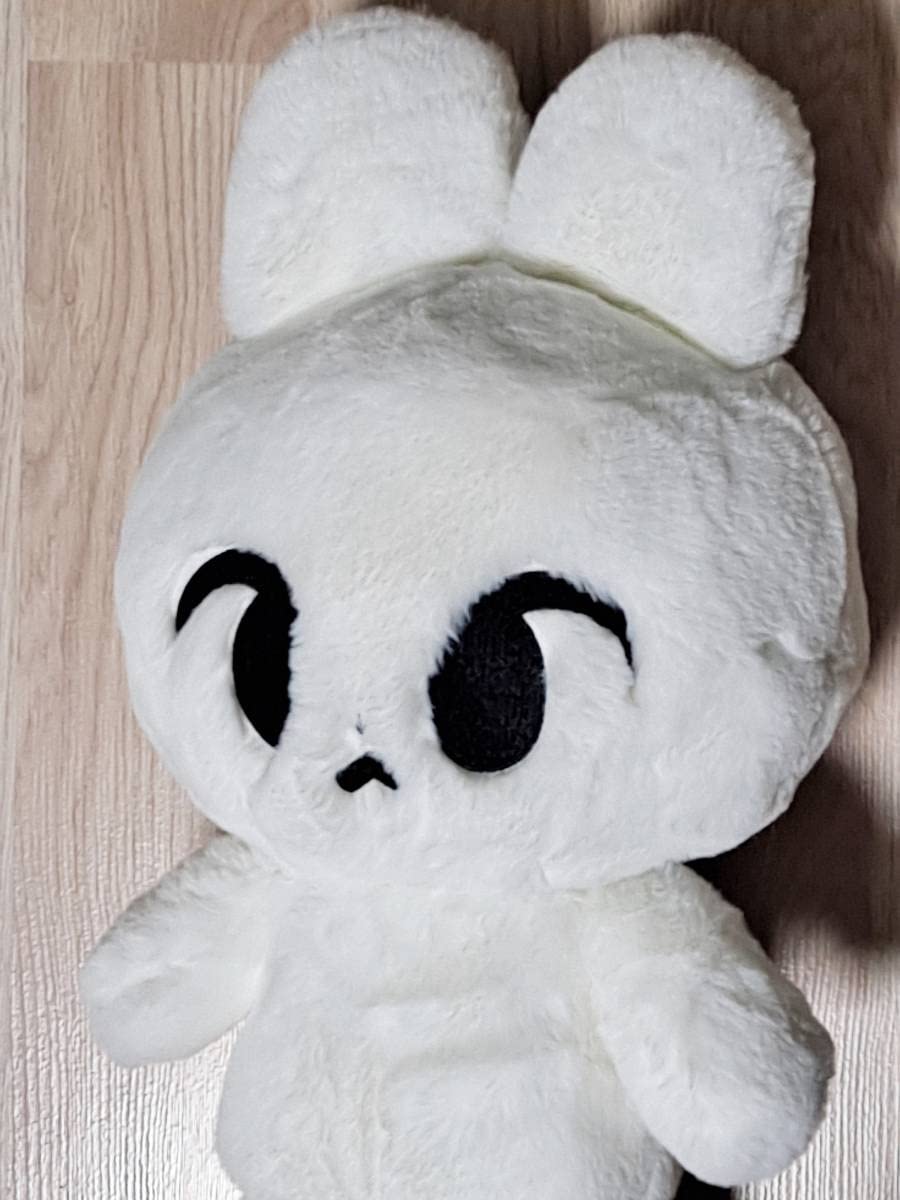 Amazon | NCTドヨン ぬいぐるみ 「ワント」 45cm うさぎ ハトDOLL 着せ