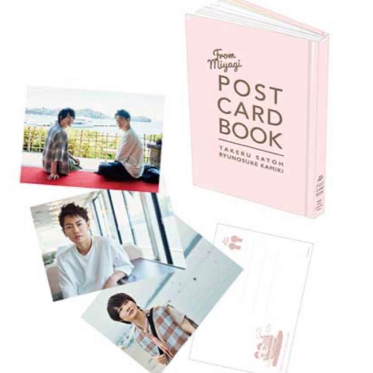 Amazon.co.jp: 佐藤健 神木隆之介 ポストカードブック miyagi : おもちゃ