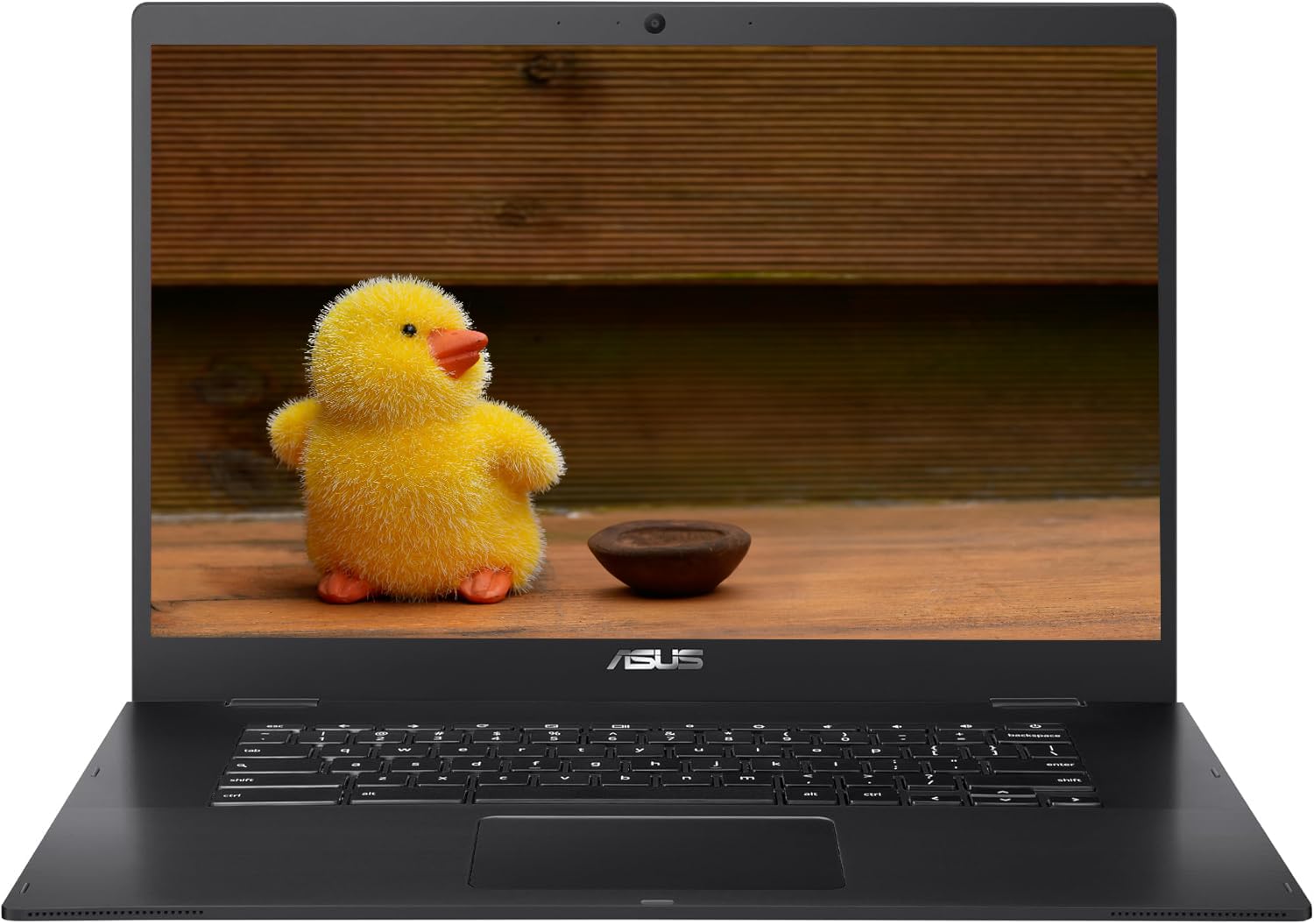 Amazon.com: ASUS 15.6