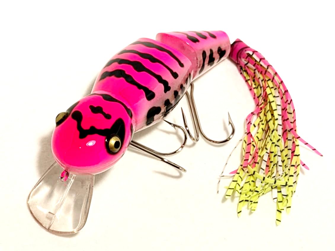 Amazon | ラインスラック スーパールーパービッグ ピンクサラマンダー