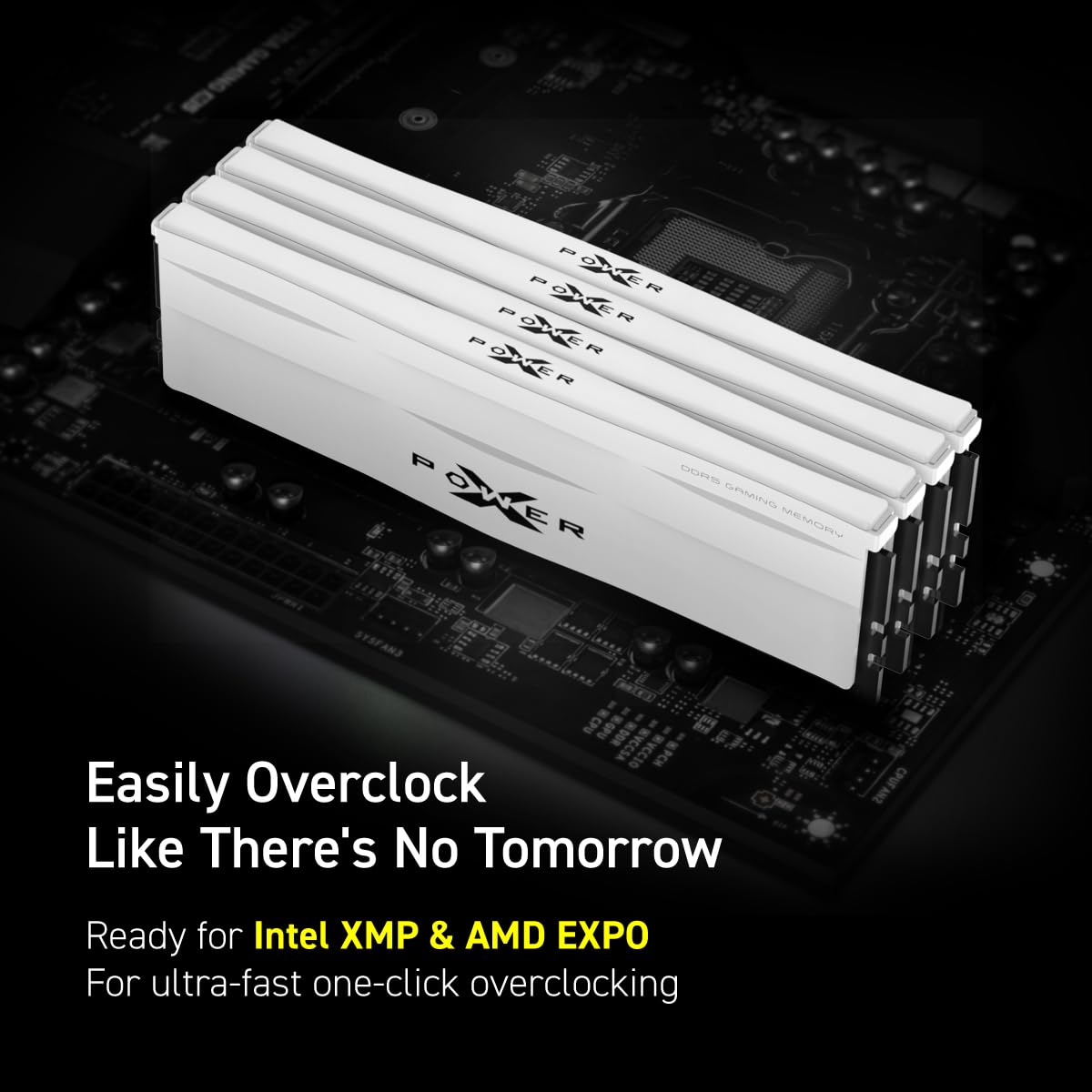 Amazon.co.jp: シリコンパワー DDR5 64GB (2x32GB) Zenith RGB 6000MHz