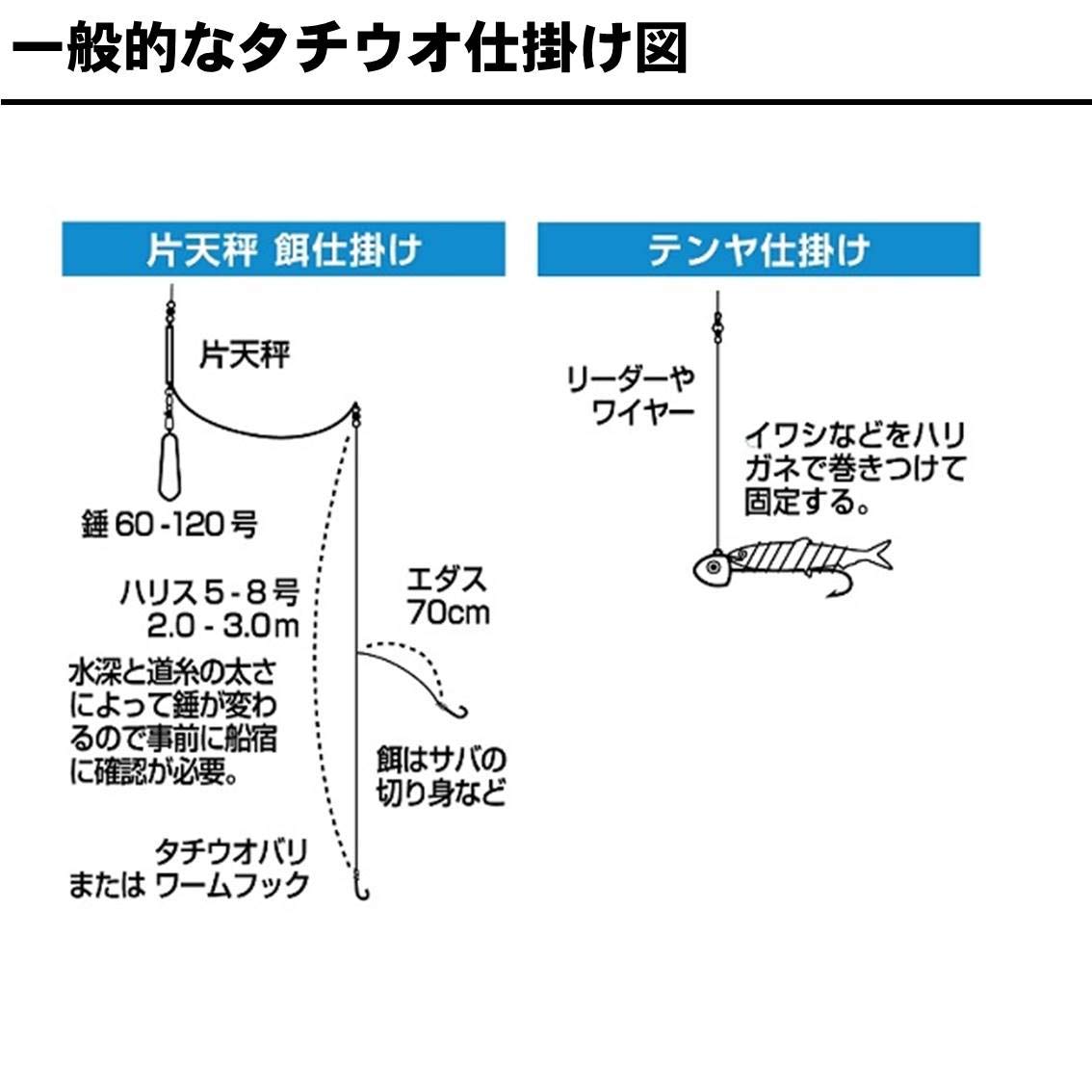 Amazon | ダイワ(DAIWA) 船竿 タチウオ X 210 釣り竿 | ダイワ(DAIWA