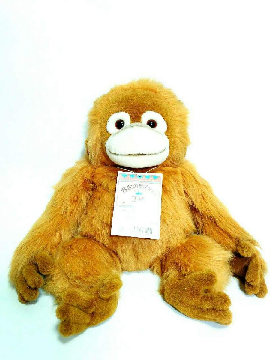 Amazon.co.jp: 貴重オランウータン 野性の赤ちゃん 王国 M ナカジマ