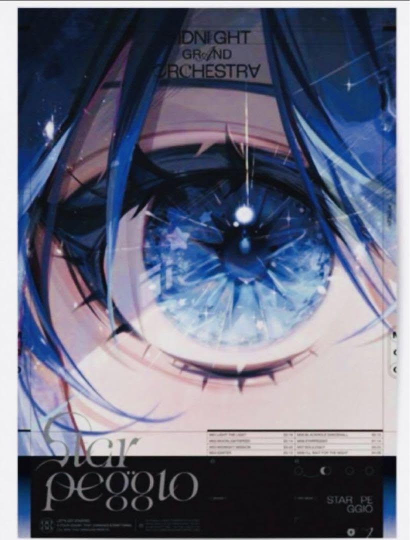 Amazon.co.jp: 星街すいせい MGO ミドグラ 展示会 A1ポスター : おもちゃ