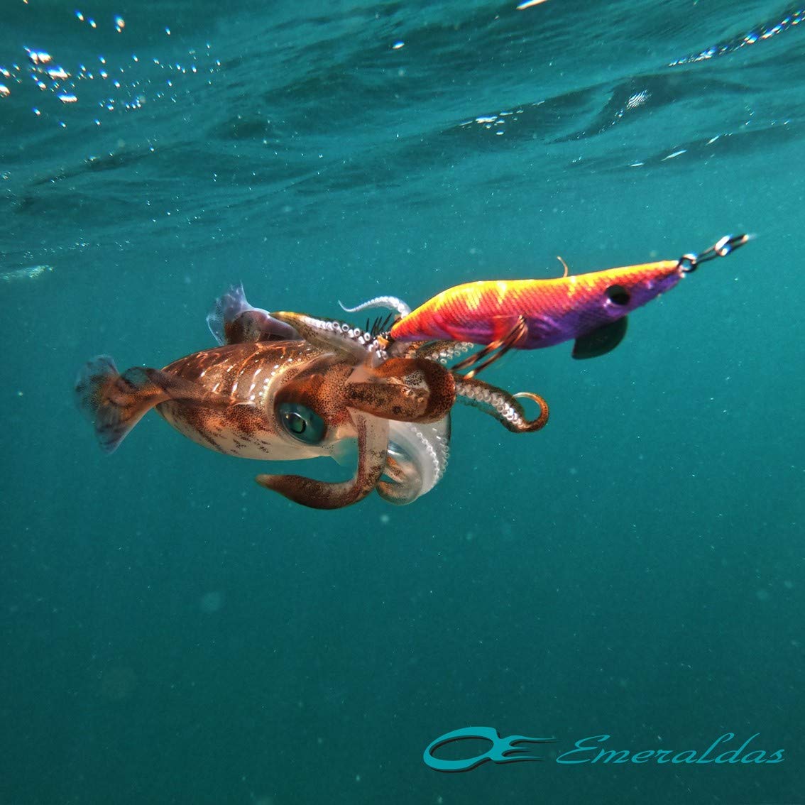 Amazon | ダイワ(DAIWA) エギ エメラルダス ダートII TYPE S 4.0号