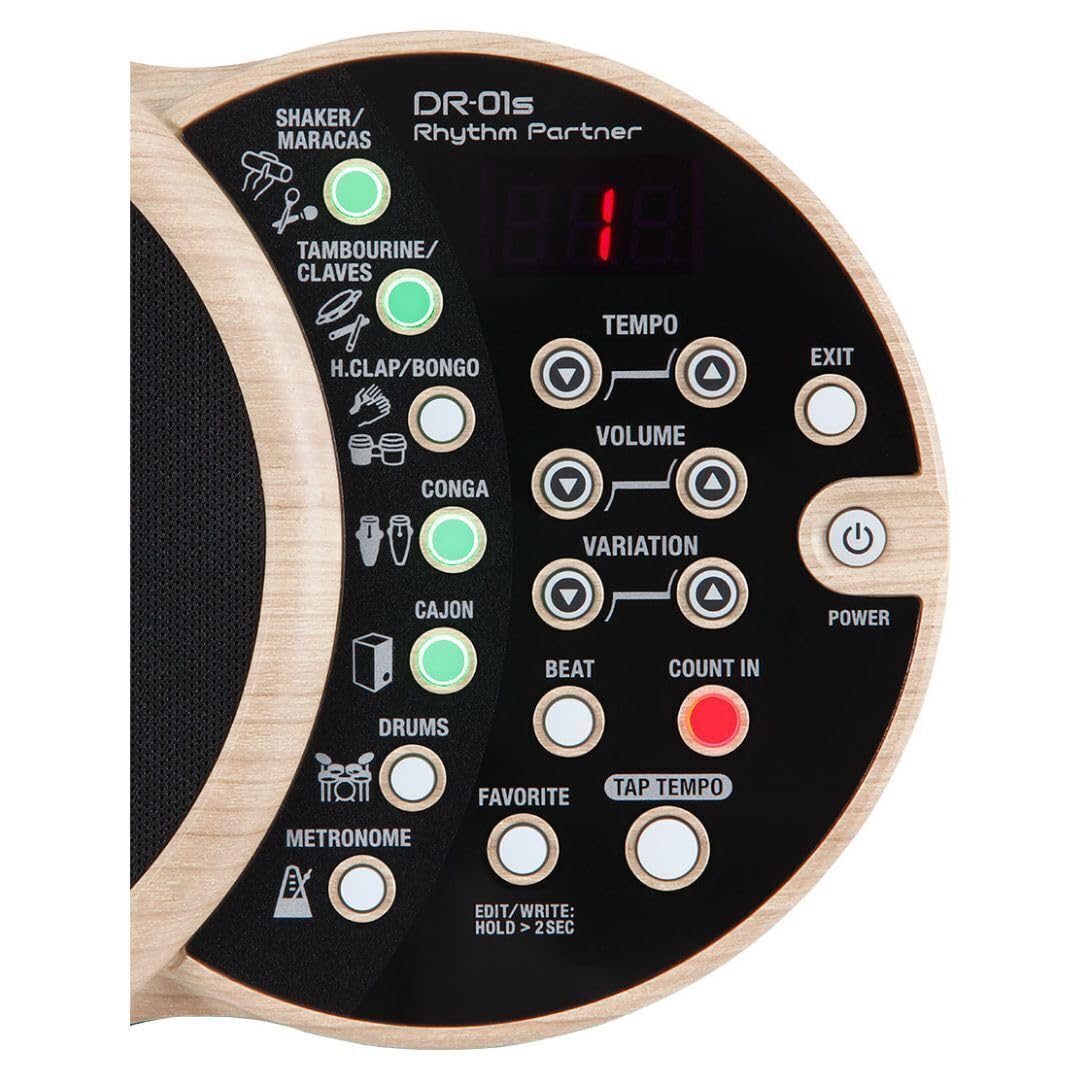 Amazon.com: BOSS DR-01S Rhythm Partner (DR-01S) : Musical Instruments