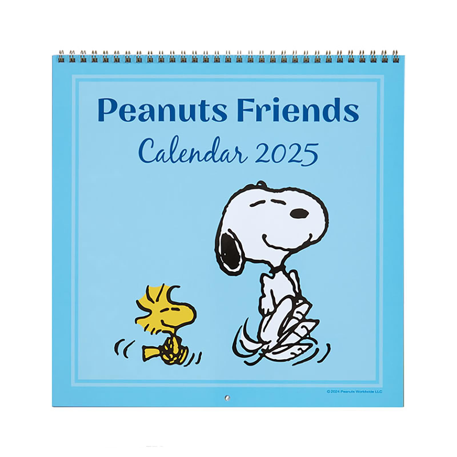 Amazon.co.jp: サンリオ(SANRIO) ウォールカレンダー L 2025年