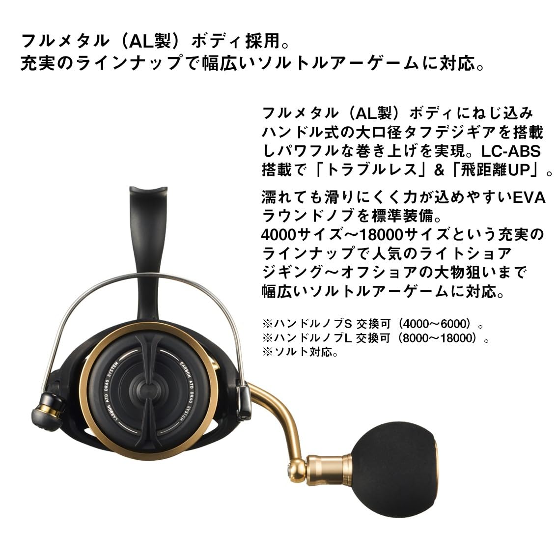 Amazon | ダイワ(DAIWA) ショアジギング スピニングリール 23BG SW