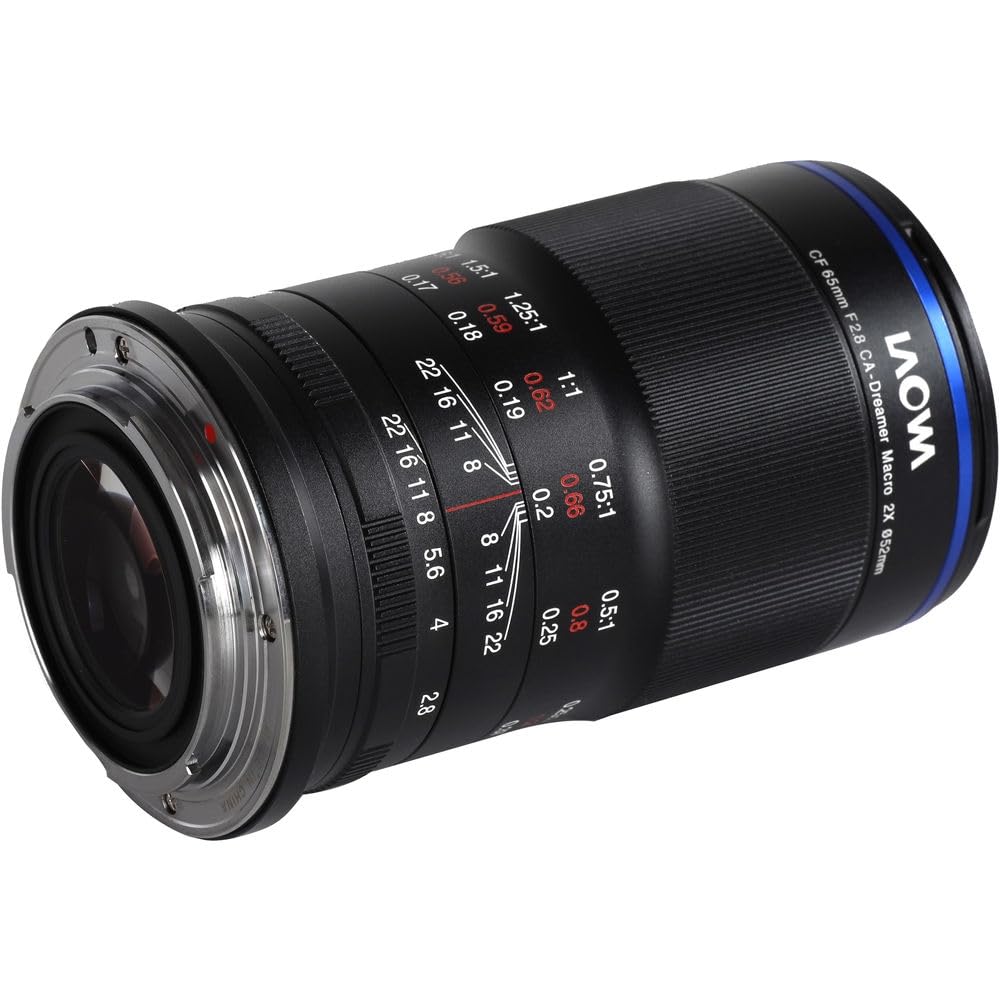 Amazon.com : Laowa 65mm f/2.8 2X Ultra Macro APO Lens for Sony E