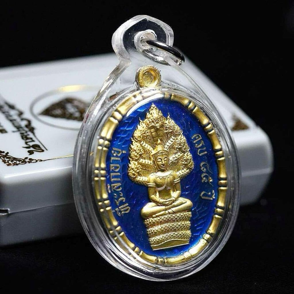 Amazon.co.jp: 85周年目の祝福神聖な仏力を宿す大蛇が齎す予知と魔除け