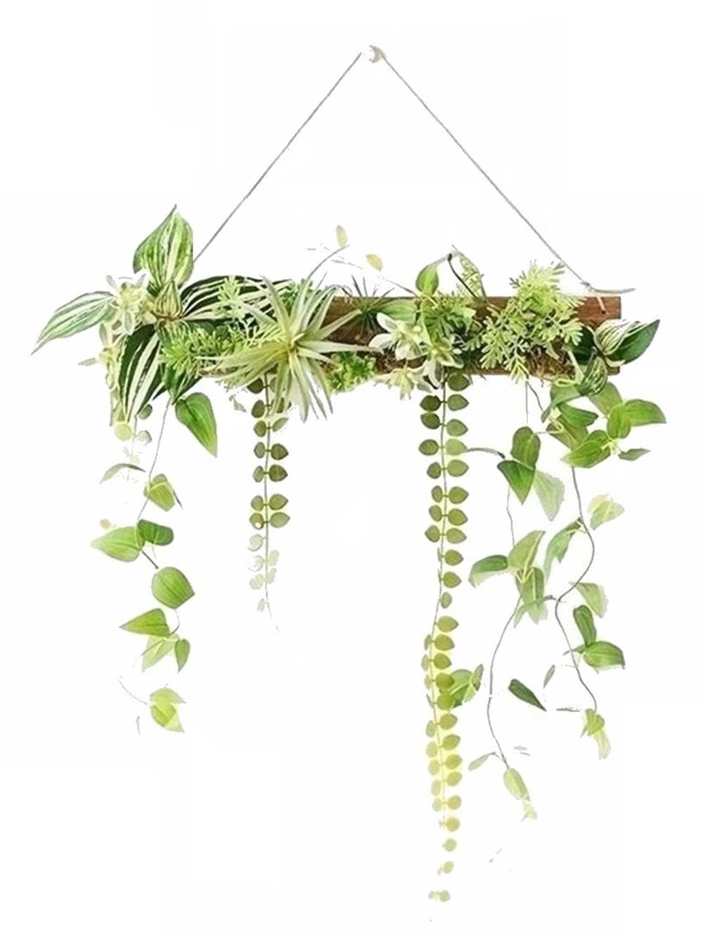 Amazon｜MedianField 【 観葉植物 光触媒 消臭 ＆ 抗菌 ウォール