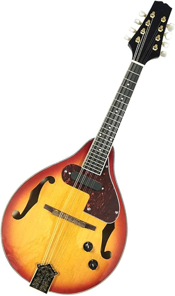 Amazon.co.jp: エレクトリック マンドリン 楽器 エレクトリック 8 弦