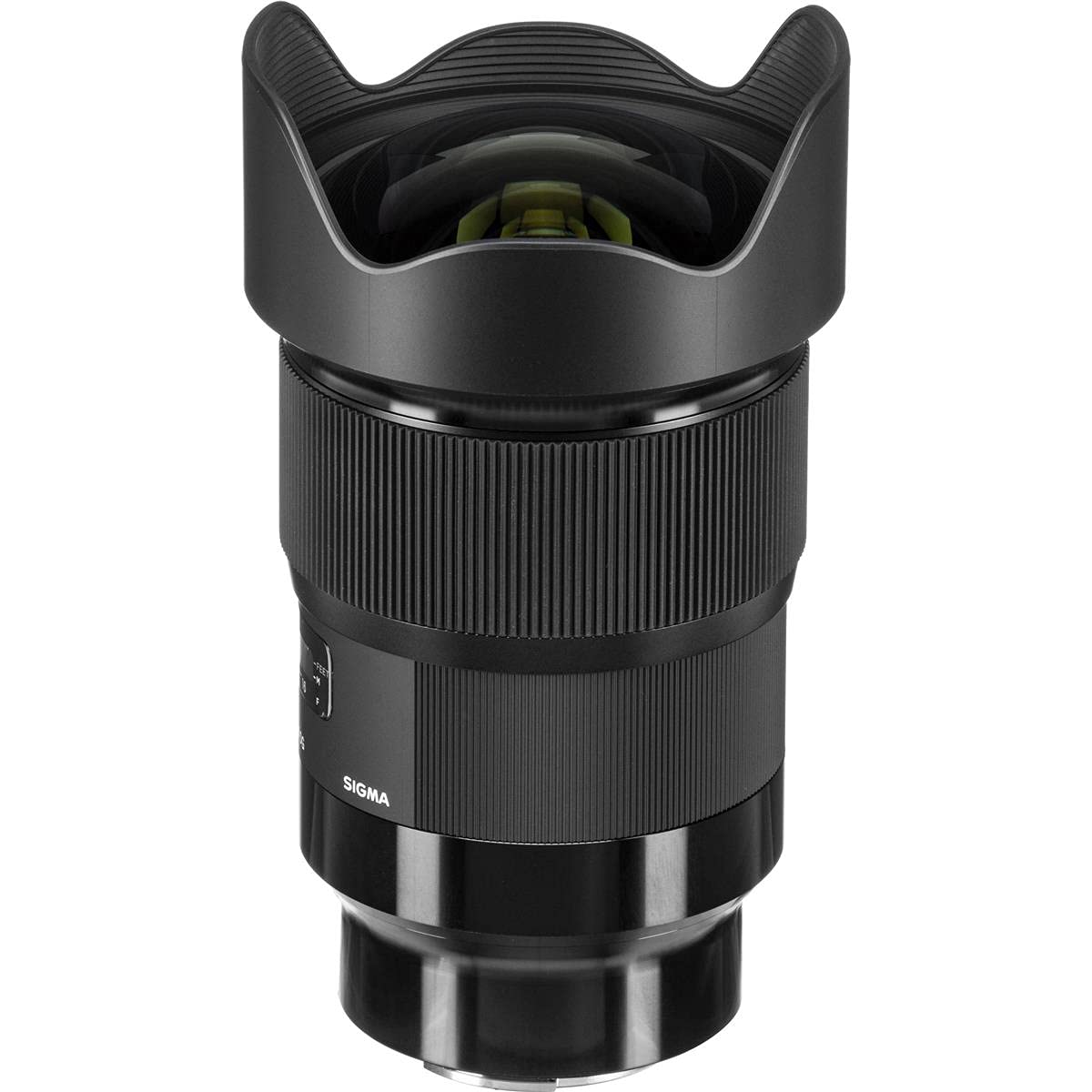 Amazon.com : 20mm F1.4 Art DG HSM for Sony E : Electronics