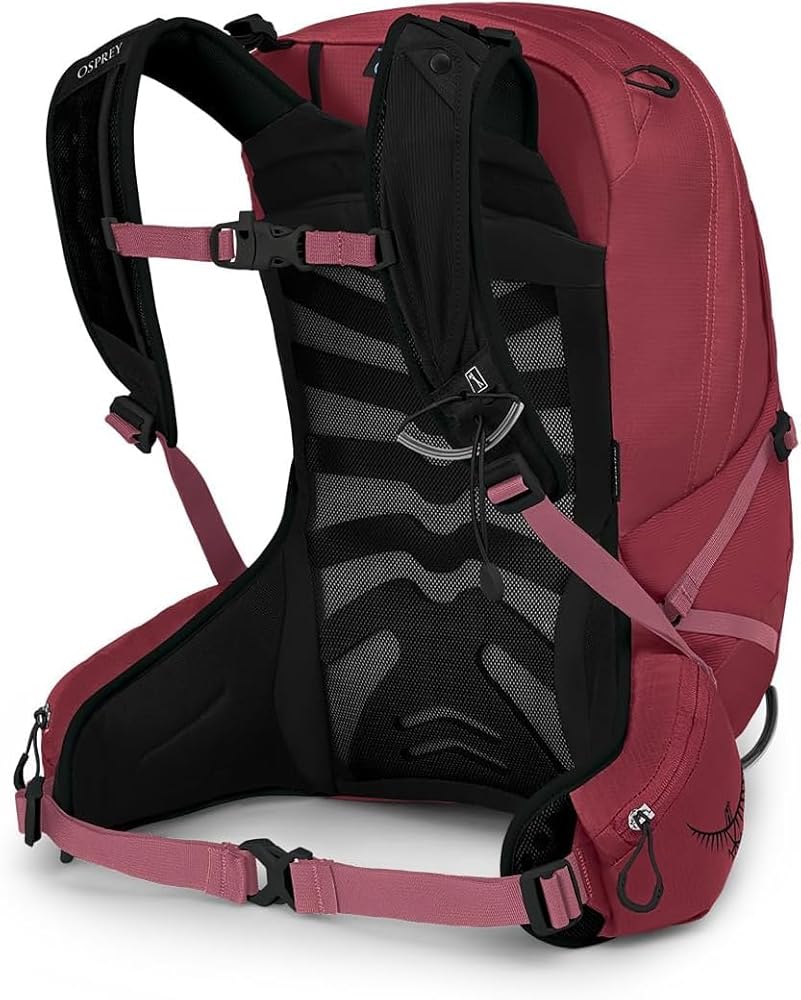 Amazon.co.jp: Osprey Tempest 20L レディース ハイキングバックパック