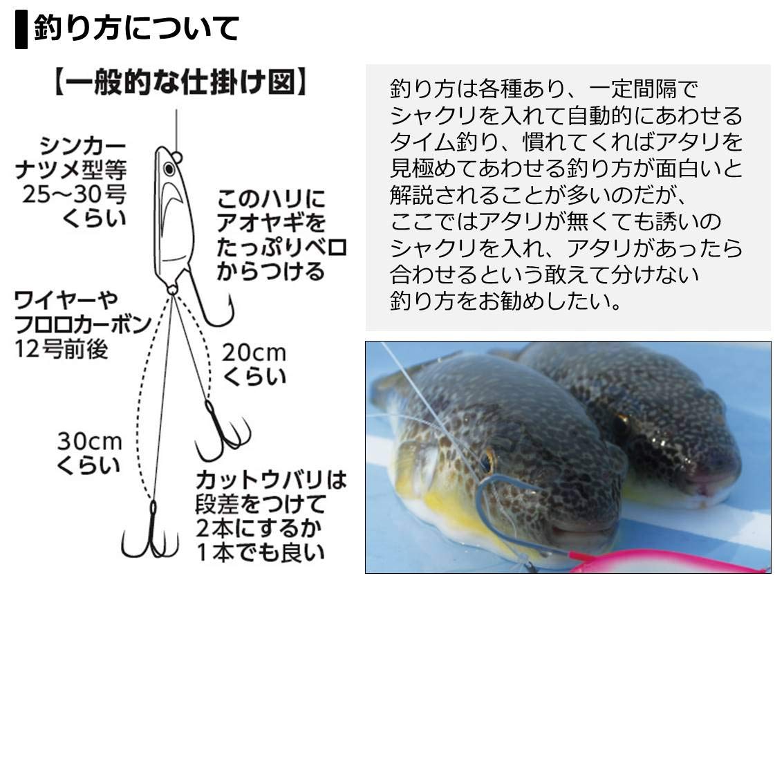 Amazon | ダイワ(DAIWA) 船竿 カットウフグ X H-150・R 釣り竿