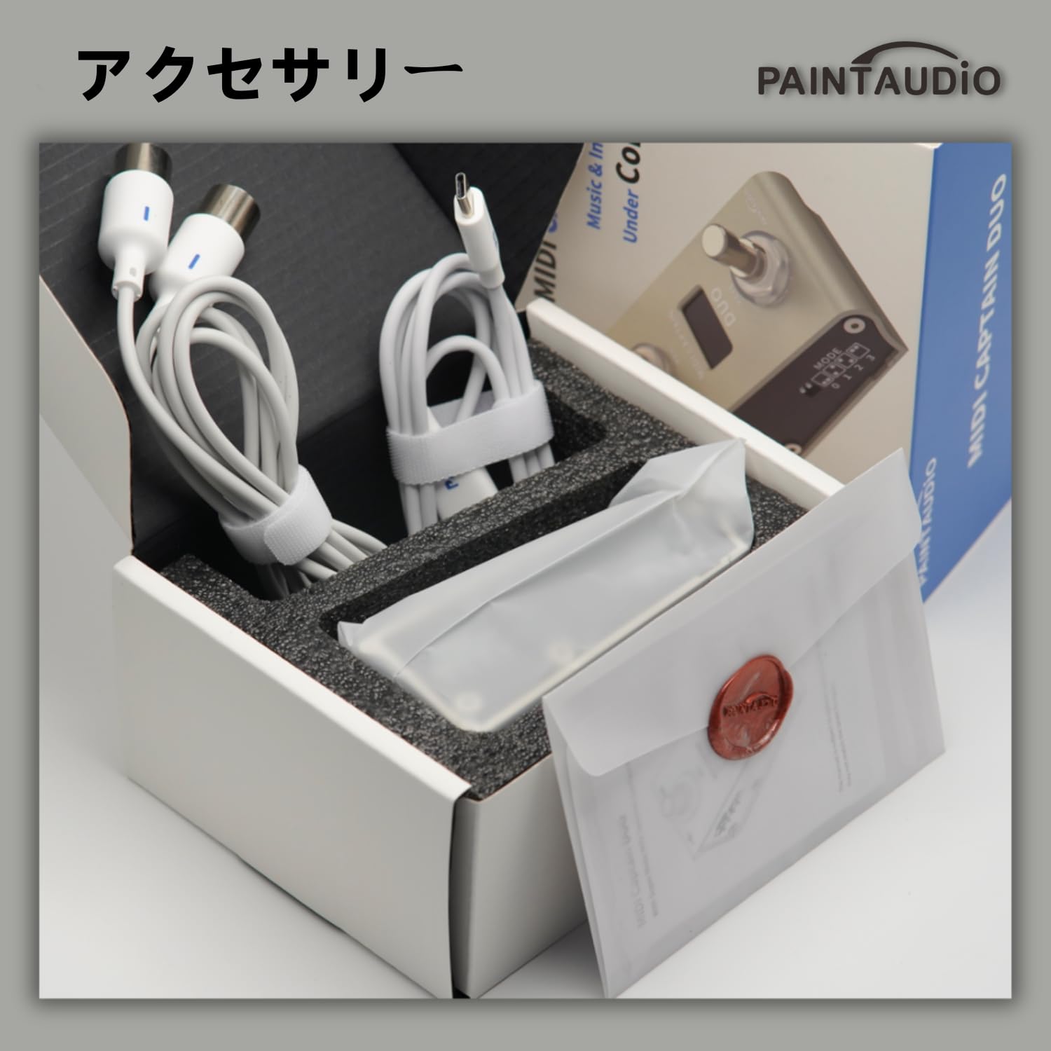 Amazon | 【国内正規品】PAINTAUDIO MIDI CAPTAIN DUO | ダブルフット