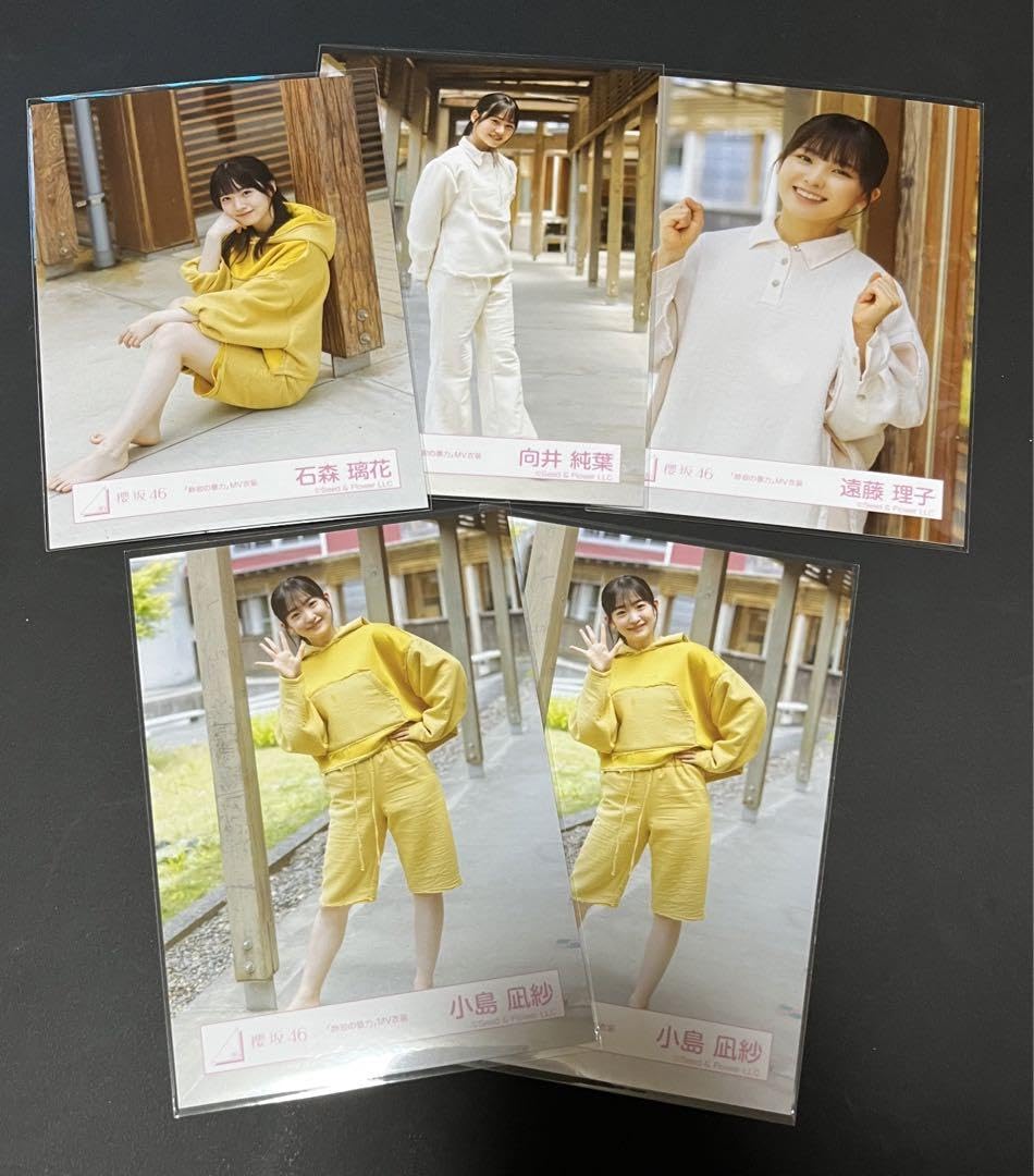 Amazon.co.jp: 櫻坂46 3期生 静寂の暴力mv衣装 て : おもちゃ