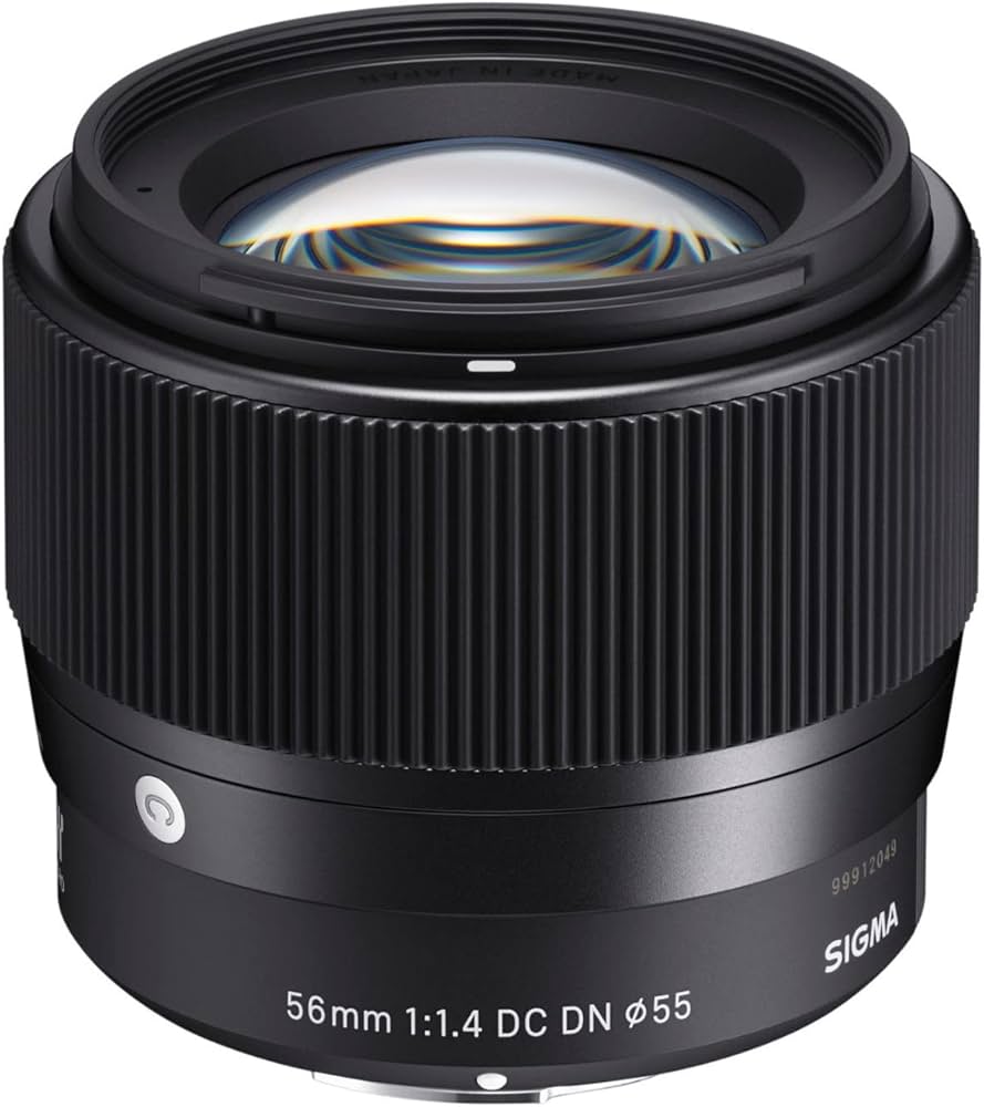 Amazon.com : Sigma 56mm for E-Mount (Sony) Fixed Prime Camera Lens