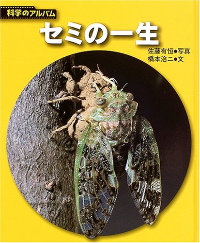 セミの一生 新装版 (科学のアルバム虫 5) | 佐藤 有恒, 橋本 洽二 |本