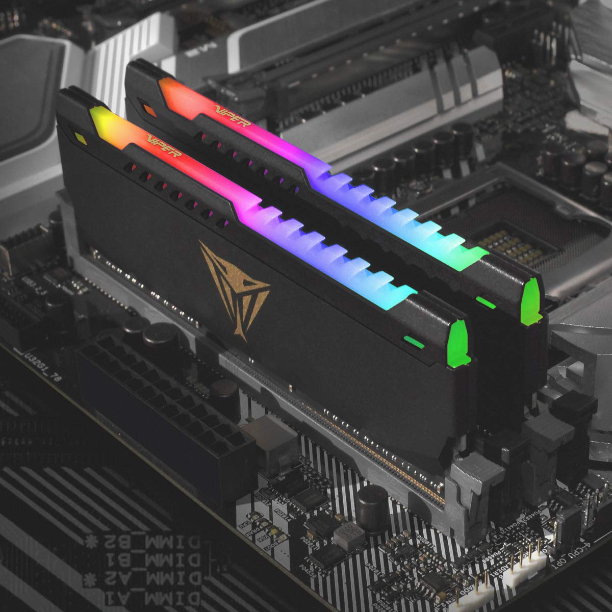 Amazon | Patriot Memory パトリオットメモリ Viper Steel RGB DDR4