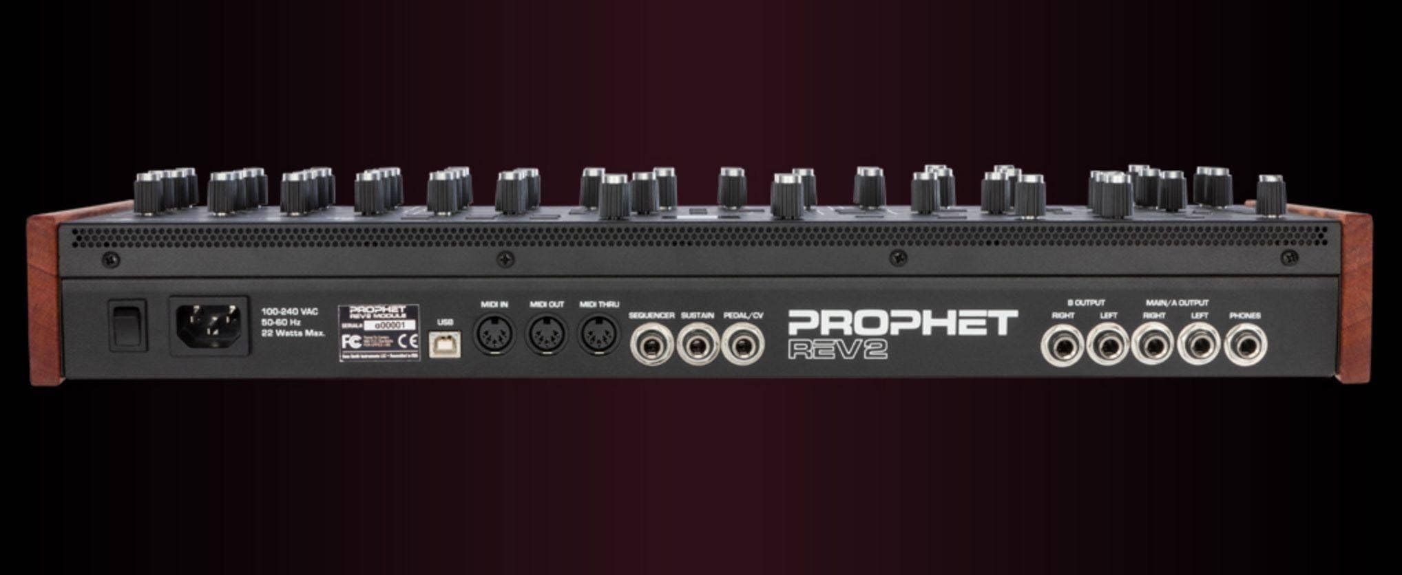 Amazon.com: Dave Smith Instruments Prophet Rev2 8-Voice Polyphonic