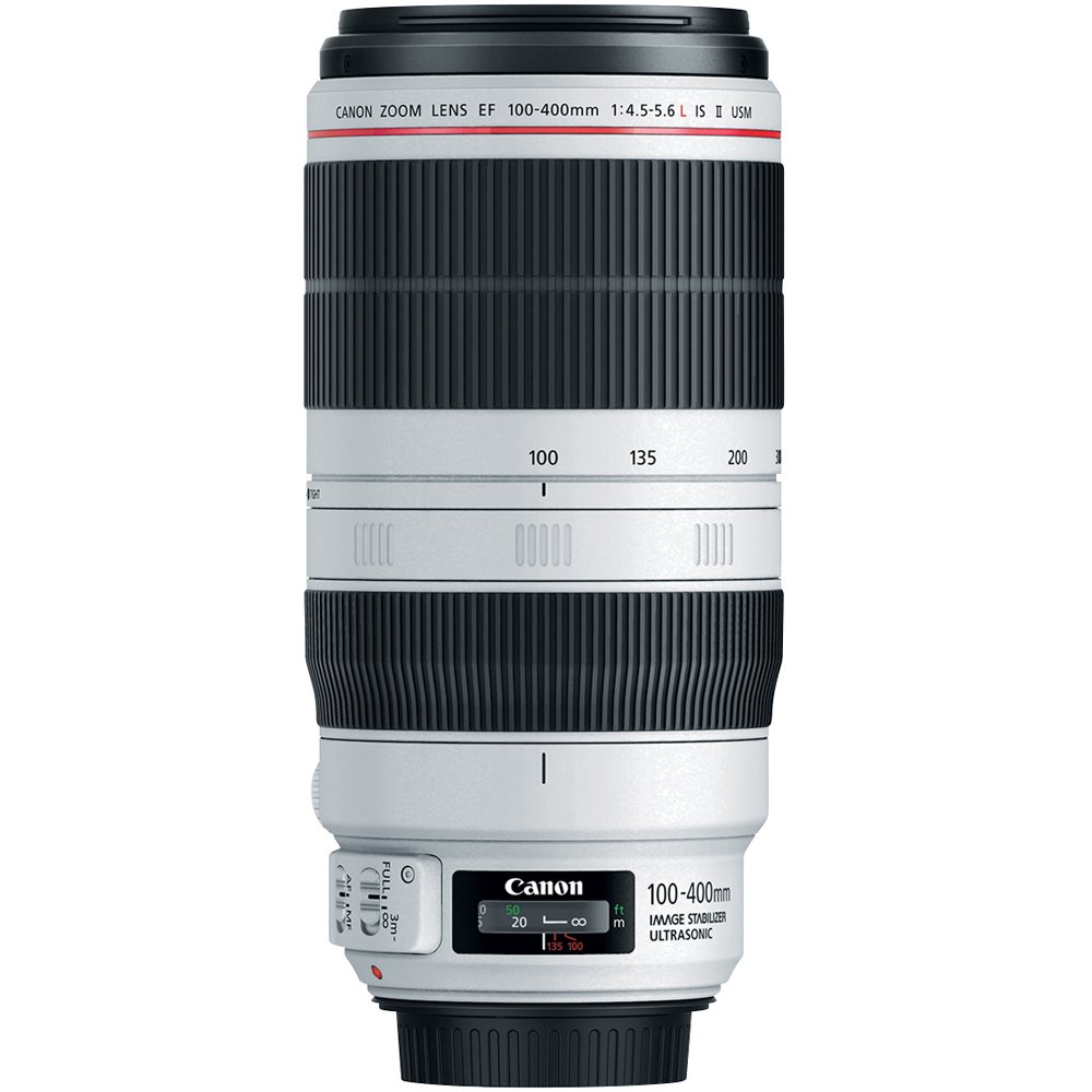 Amazon.com : Canon EF 100-400mm f/4.5-5.6L is II USM Lens