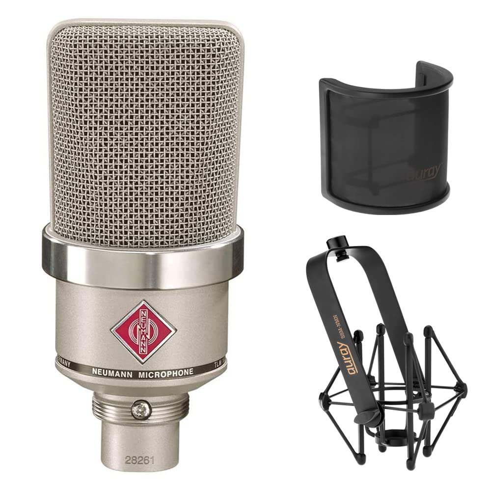 Amazon.com: NEUMANN TLM-102 Large Diaphragm Studio Condenser