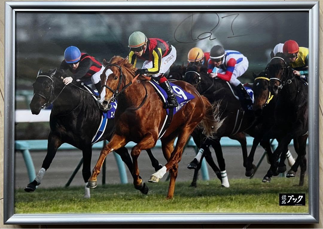 Amazon.co.jp: 池添謙一騎手直筆サイン オルフェーヴル 2011 有馬記念