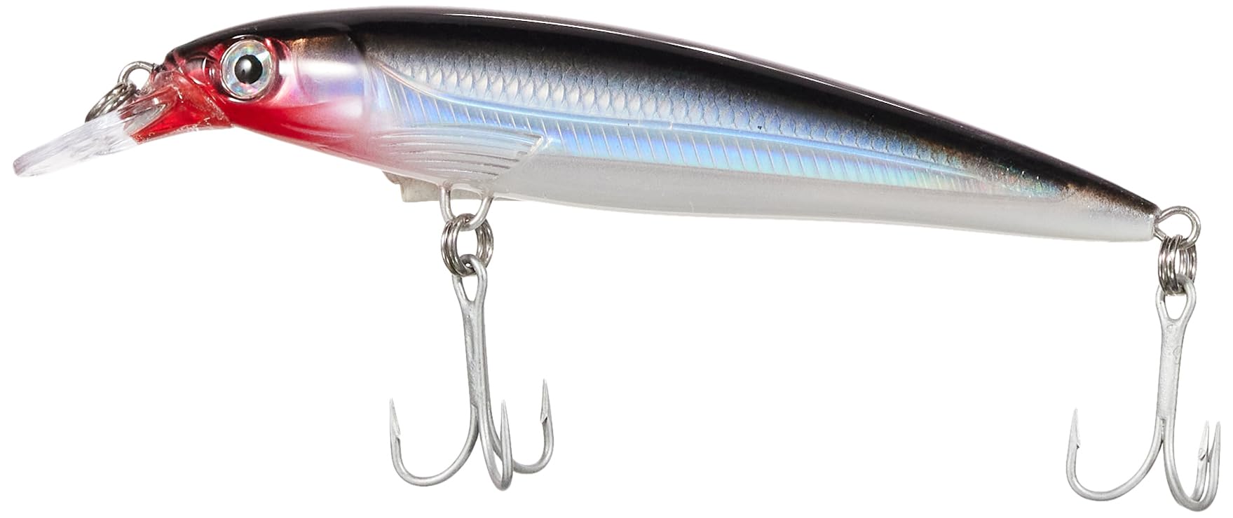 Amazon.co.jp: Rapala(ラパラ) ミノー ソルトウォーター Xラップ 12cm