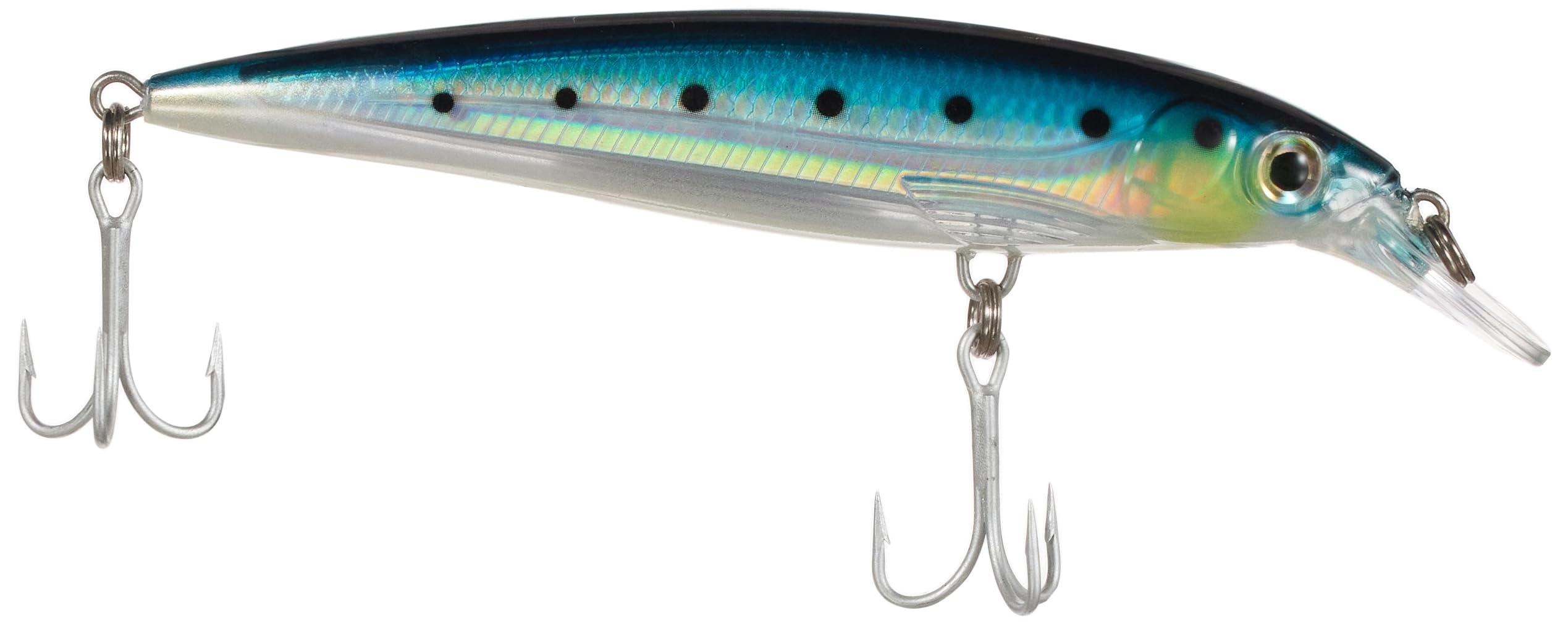 Amazon.co.jp: Rapala(ラパラ) ミノー ソルトウォーター Xラップ 12cm