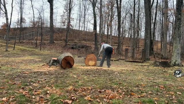 Amazon.com: V-MODEST 3 Pack 8 Inch Chainsaw Chain Blade for