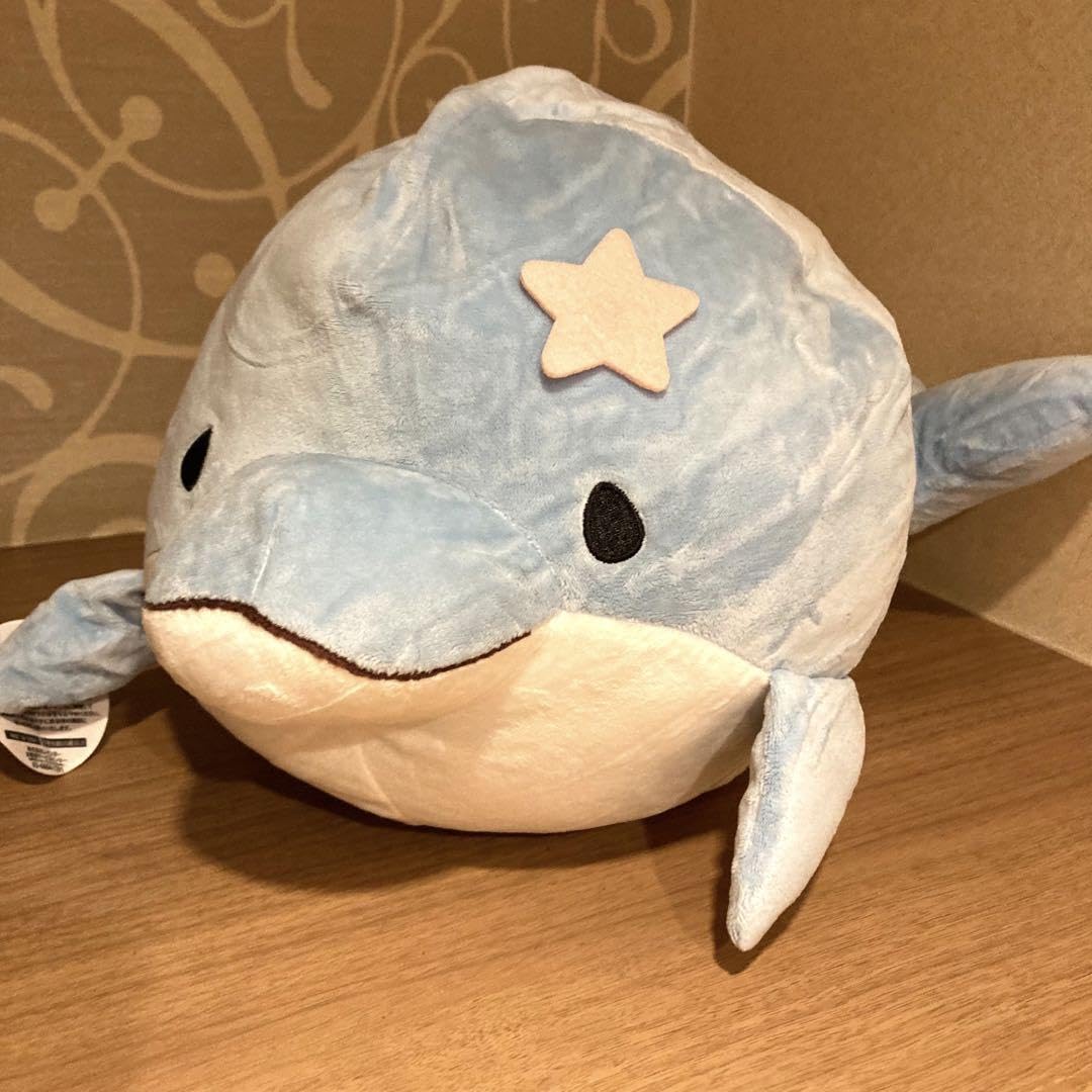 Amazon.co.jp: みいるか ゆるいるか BIGぬいぐるみ : おもちゃ