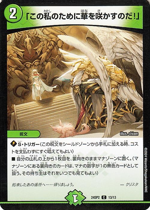 Amazon.co.jp: デュエルマスターズ 「この私のために華を咲かすのだ