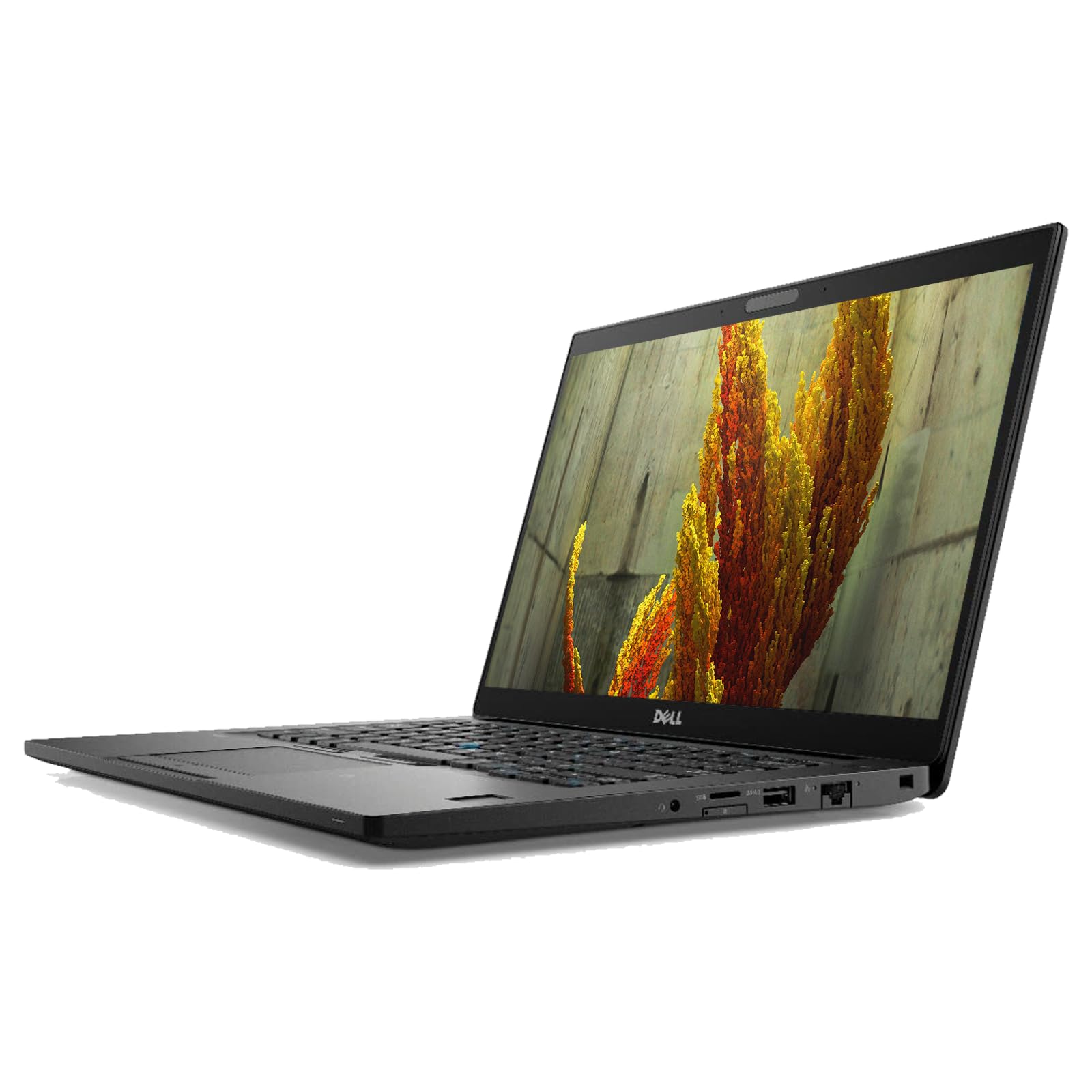 Amazon.com: Dell Latitude 7480 Business Laptop Computer Win11 pro