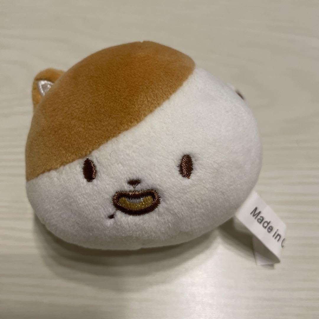 Amazon.co.jp: チソン ぬいぐるみ ポケチボール マスター NCT DREAM