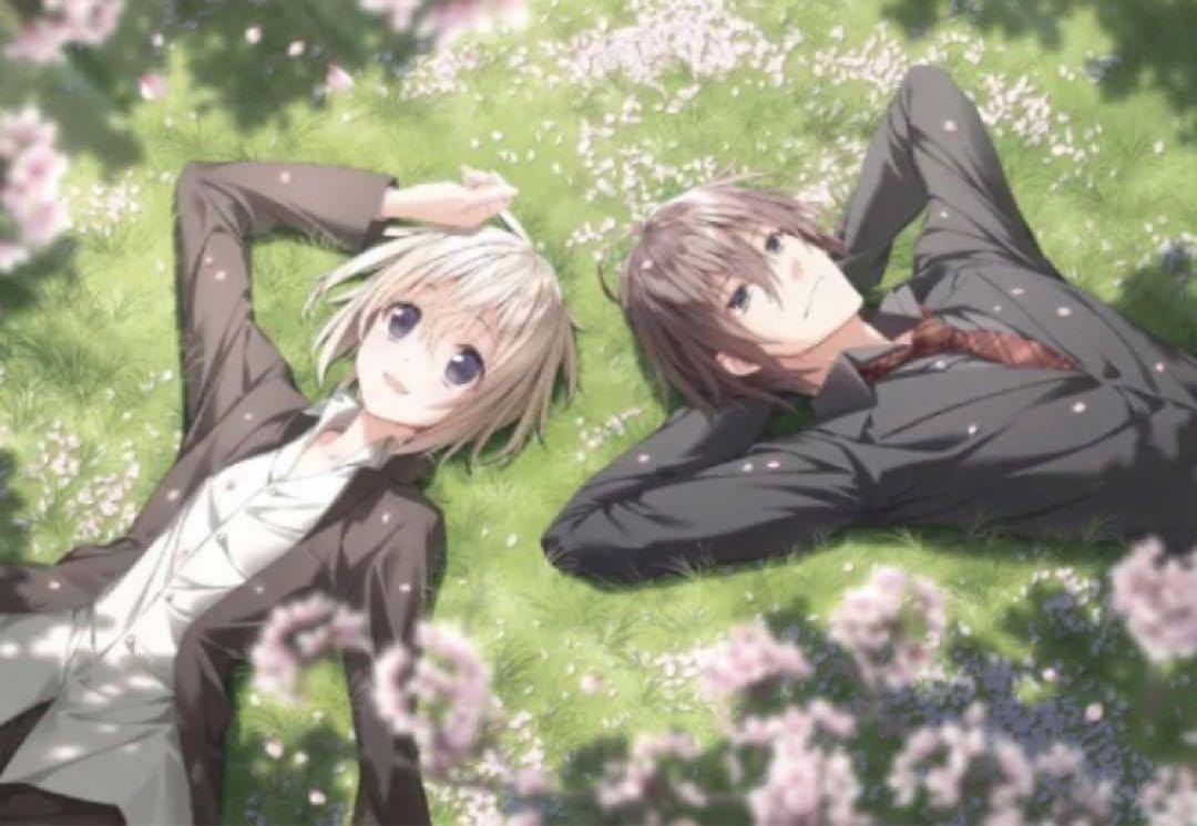 Amazon.co.jp: サクラノ詩 サクラノ刻 B2タペストリー 圭 直哉 : おもちゃ