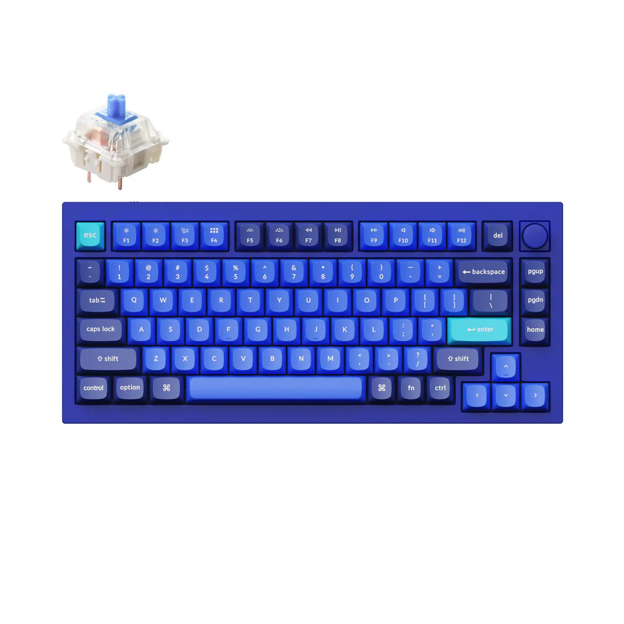 Amazon.com: Keychron Q1 RGB Wired Custom Mechanical Keyboard, 75