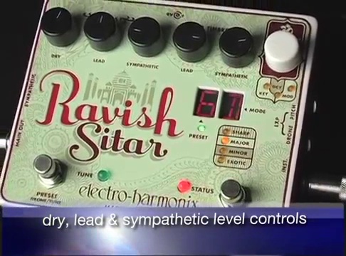 Amazon.com: Electro-Harmonix Ravish Sitar Emulator Pedal : Musical