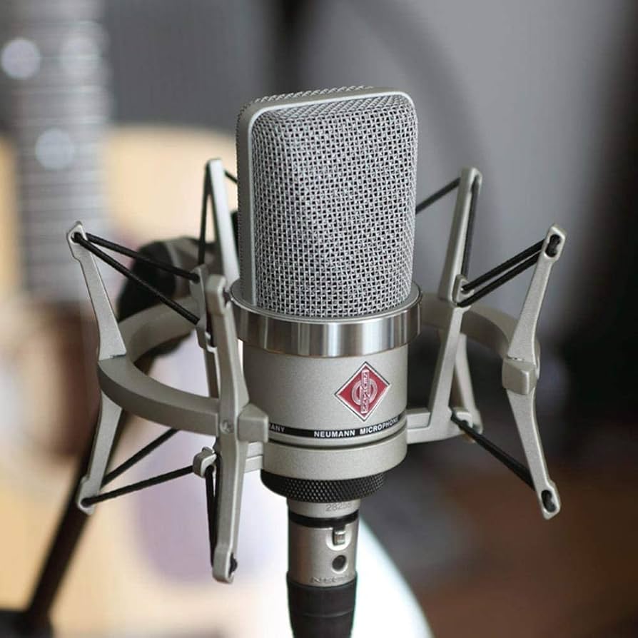 Amazon.com: Neumann TLM 102 Studio Set - Nickel : Neumann: Musical