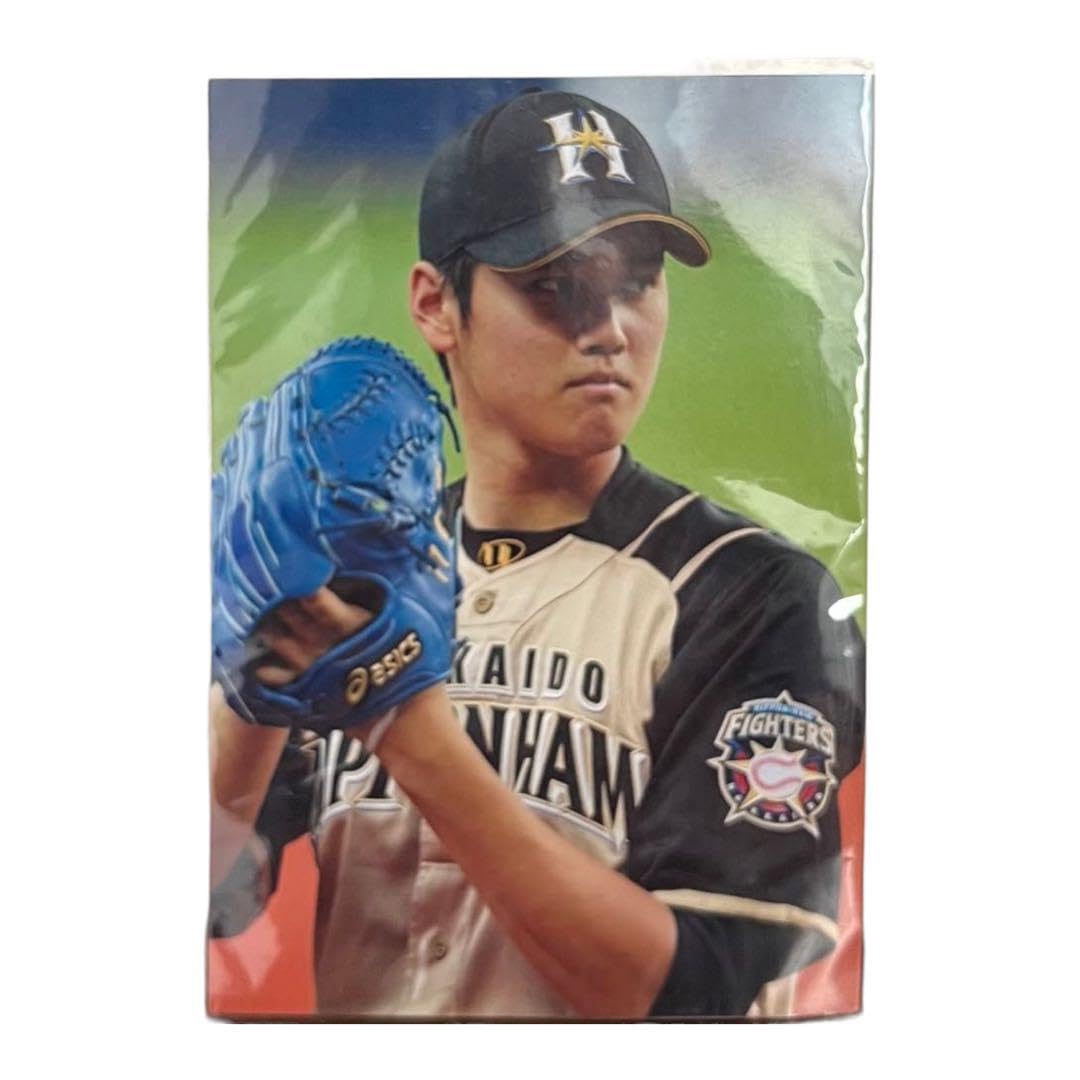 大谷翔平 2013 ハイライトフォト No.338 日本ハム 球団公式写真 Amazon