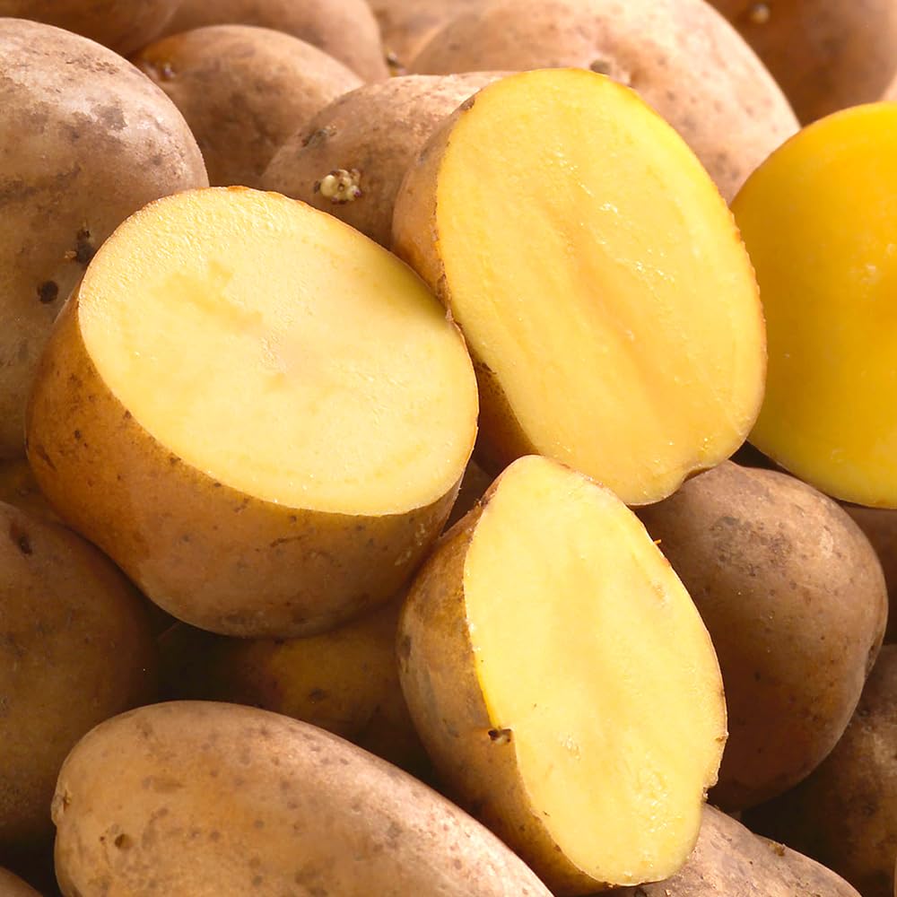 Amazon.co.jp: 北海道産 新じゃが じゃがいも インカのめざめ 3kg (共