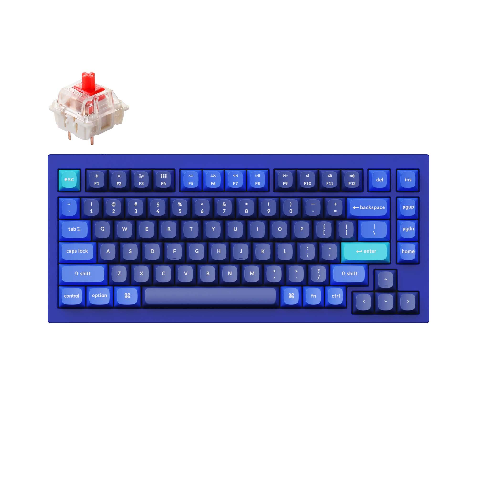 Amazon.co.jp: Keychron Q1 RGB 有線カスタムメカニカルキーボード 75