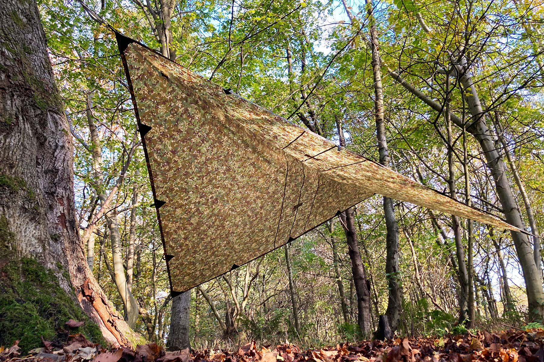 Amazon.com: DD Hammocks - DD Tarp 3.5 x 3.5 - MC: 11.5ft x 11.5ft